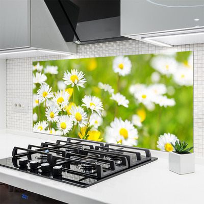 Kitchen Splashback Daisy floral yellow white