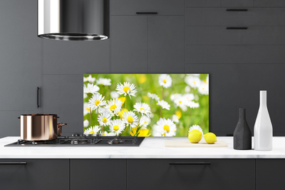 Kitchen Splashback Daisy floral yellow white