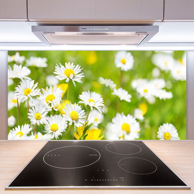 Kitchen Splashback Daisy floral yellow white