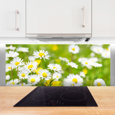 Kitchen Splashback Daisy floral yellow white