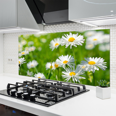 Kitchen Splashback Daisy floral yellow white