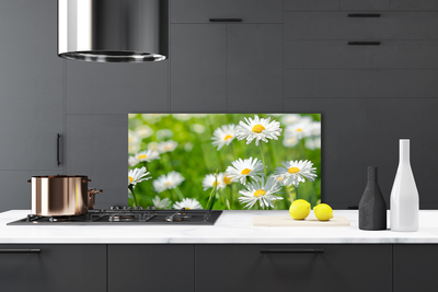 Kitchen Splashback Daisy floral yellow white