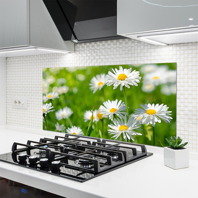 Kitchen Splashback Daisy floral yellow white