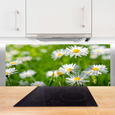 Kitchen Splashback Daisy floral yellow white