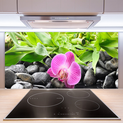 Kitchen Splashback Flower leaves stones art pink green black