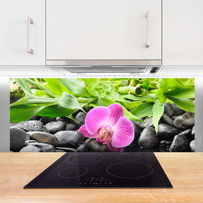 Kitchen Splashback Flower leaves stones art pink green black