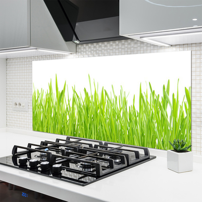 Kitchen Splashback Grass nature green