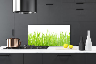 Kitchen Splashback Grass nature green