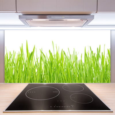 Kitchen Splashback Grass nature green