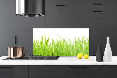 Kitchen Splashback Grass nature green