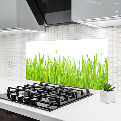 Kitchen Splashback Grass nature green