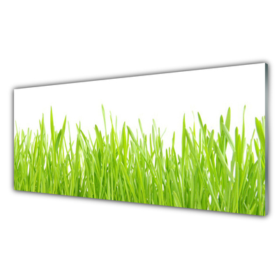 Kitchen Splashback Grass nature green