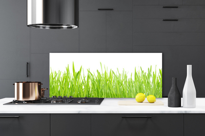 Kitchen Splashback Grass nature green