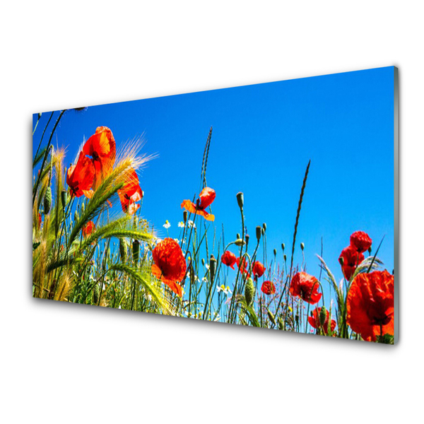 Kitchen Splashback Flowers floral red green