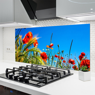 Kitchen Splashback Flowers floral red green