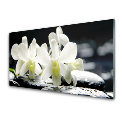 Kitchen Splashback Flower stones floral white black