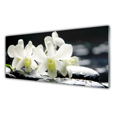 Kitchen Splashback Flower stones floral white black