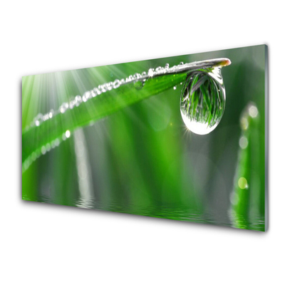 Splashback Toughened Glass Modern Unique Green Grass with Dew Drops Any Sizes 