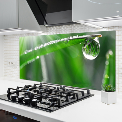 Kitchen Splashback Grass dew drops floral green