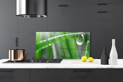 Kitchen Splashback Grass dew drops floral green