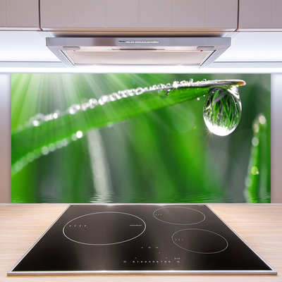 Kitchen Splashback Grass dew drops floral green