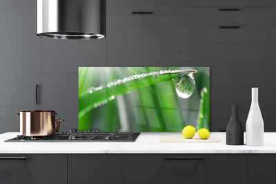 Kitchen Splashback Grass dew drops floral green