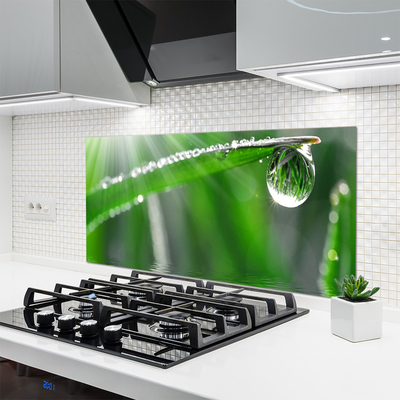 Kitchen Splashback Grass dew drops floral green