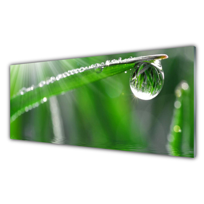 Kitchen Splashback Grass dew drops floral green