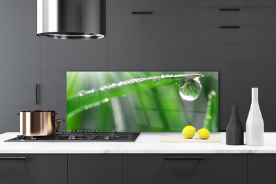 Kitchen Splashback Grass dew drops floral green