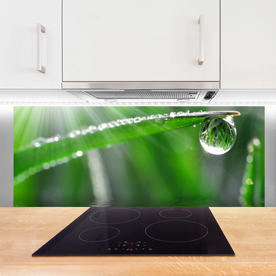 Kitchen Splashback Grass dew drops floral green