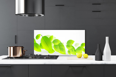 Kitchen Splashback Leaves floral green