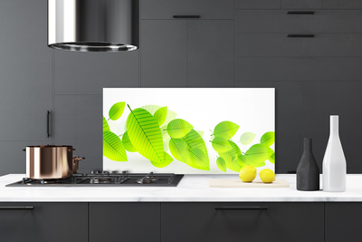 Kitchen Splashback Leaves floral green