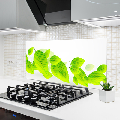 Kitchen Splashback Leaves floral green