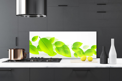 Kitchen Splashback Leaves floral green