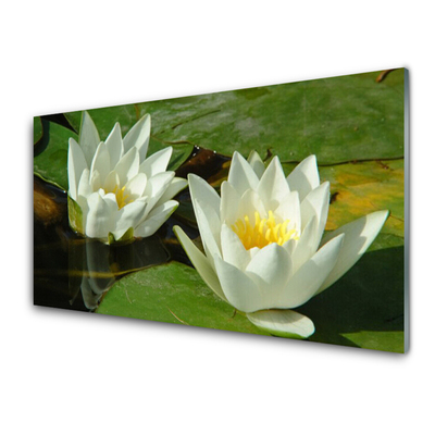 Kitchen Splashback Flowers floral yellow white