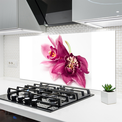 Kitchen Splashback Flowers floral red