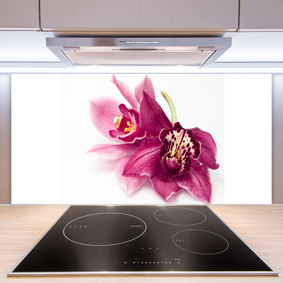 Kitchen Splashback Flowers floral red