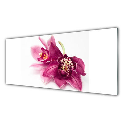 Kitchen Splashback Flowers floral red