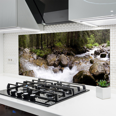 Kitchen Splashback Forest brook stones nature brown green white grey