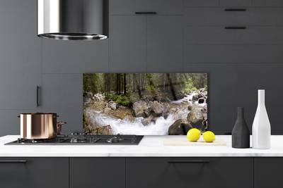 Kitchen Splashback Forest brook stones nature brown green white grey