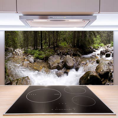 Kitchen Splashback Forest brook stones nature brown green white grey