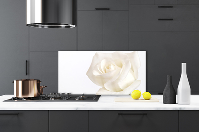 Kitchen Splashback Rose floral white