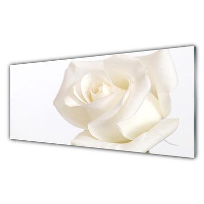 Kitchen Splashback Rose floral white