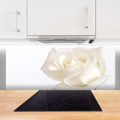 Kitchen Splashback Rose floral white