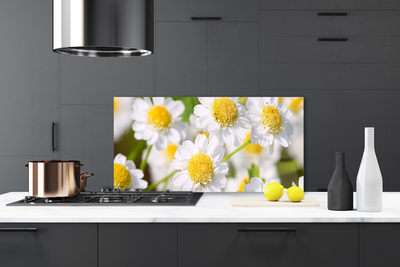 Kitchen Splashback Daisy floral yellow white