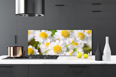 Kitchen Splashback Daisy floral yellow white