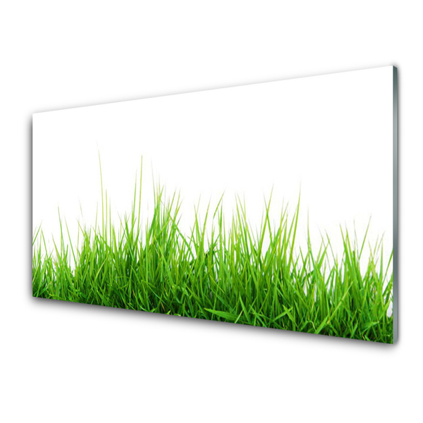 Kitchen Splashback Grass nature green