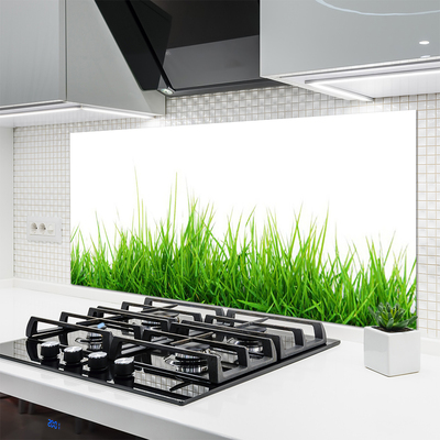 Kitchen Splashback Grass nature green