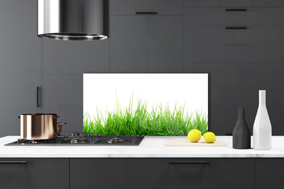 Kitchen Splashback Grass nature green