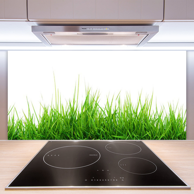 Kitchen Splashback Grass nature green